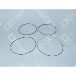 01 0111 400019 O-Ring Satz
