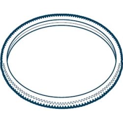 01 0331 352001 Zahnkranz