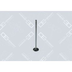 01 0520 471002 Einlassventil