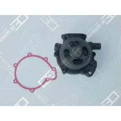 02 2000 082604 Wasserpumpe