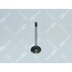 04 0520 101100 Einlassventil