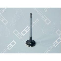 06 0520 XF9501 Auslassventil