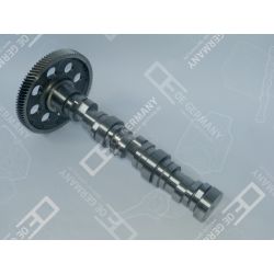 Camshaft | 01 0500 501002