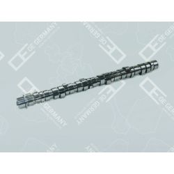 Camshaft | 03 0500 D13000