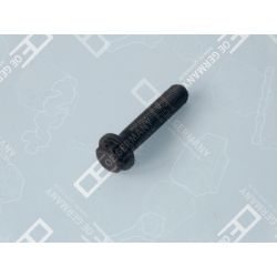 Connecting rod screw | 01 0311 366000