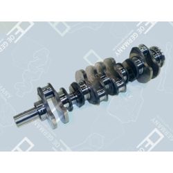 Crankshaft without bearing | 01 0300 366000