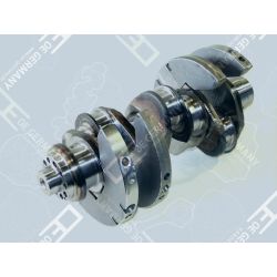 Crankshaft without bearing | 01 0300 501000