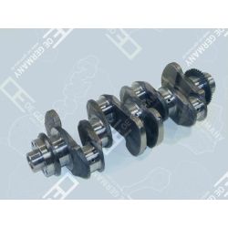 Crankshaft without bearing | 01 0300 904001