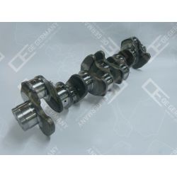 Crankshaft without bearing | 02 0300 206600