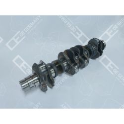 Crankshaft without bearing | 04 0300 201216