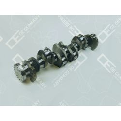Crankshaft without bearing | 08 0300 DXI130