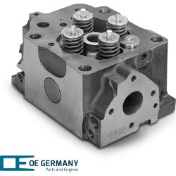Cylinder head with valves | 01 0129 501002