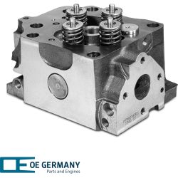 Cylinder head with valves | 01 0129 501003