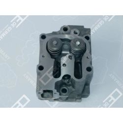Cylinder head with valves | 02 0129 286602