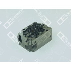 Cylinder head with valves | 02 0129 287601