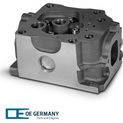 Головка цилиндра без клапанов | 01 0120 501001