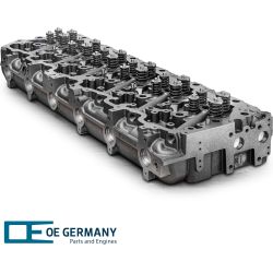 Головка цилиндра с клапанами | 06 0129 MX1301