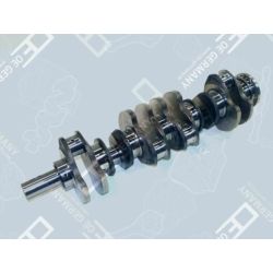 Kurbelwelle Ohne Lager 01 0300 352001
