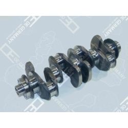 Kurbelwelle Ohne Lager 01 0300 904001
