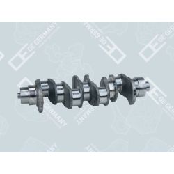 Kurbelwelle Ohne Lager 01 0300 934000