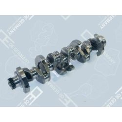 Kurbelwelle Ohne Lager 04 0300 913001