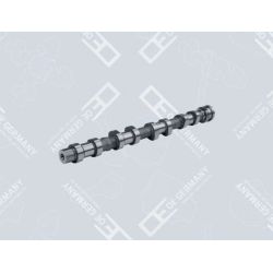 Nockenwelle 01 0500 651000