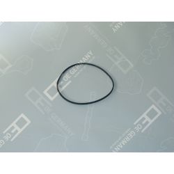 O-Ring | 02 0111 287600