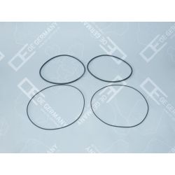 O-Ring Satz | 01 0111 400009