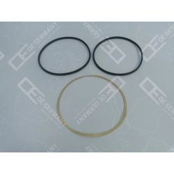 O-Ring Satz 01 0111 500000