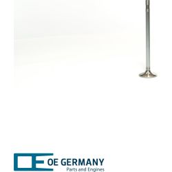 OE Germany Einlassventil 02 0520 267600