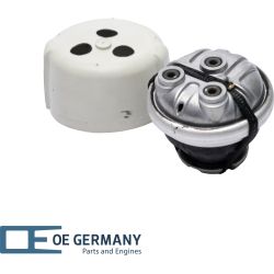 OE Germany Lagerung, Motor Genuine-Part 800847