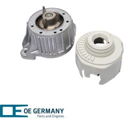 OE Germany Lagerung, Motor Genuine-Part 800861