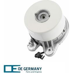 OE Germany Lagerung, Motor Genuine-Part 801027