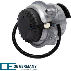 OE Germany Lagerung, Motor Genuine-Part 801286