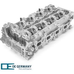 OE Germany Zyl. Kopf Mit Ventilen 01 0129 651000