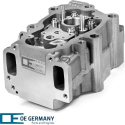 OE Germany Zyl. Kopf Ohne Ventile 05 0120 DC1301