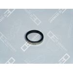 Valve seat ring | 01 0123 500000