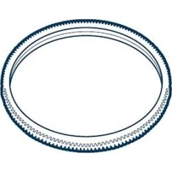 Zahnkranz | 01 0331 352000