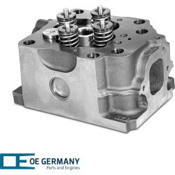 Zylinderkopf mit Ventilen | 01 0129 501000