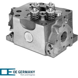 Zylinderkopf mit Ventilen | 01 0129 501001
