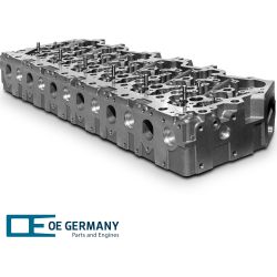 Zylinderkopf ohne Ventile | 06 0120 MX1301