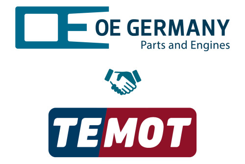 Международное партнёрство с TEMOT