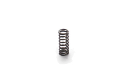 Valve Springs